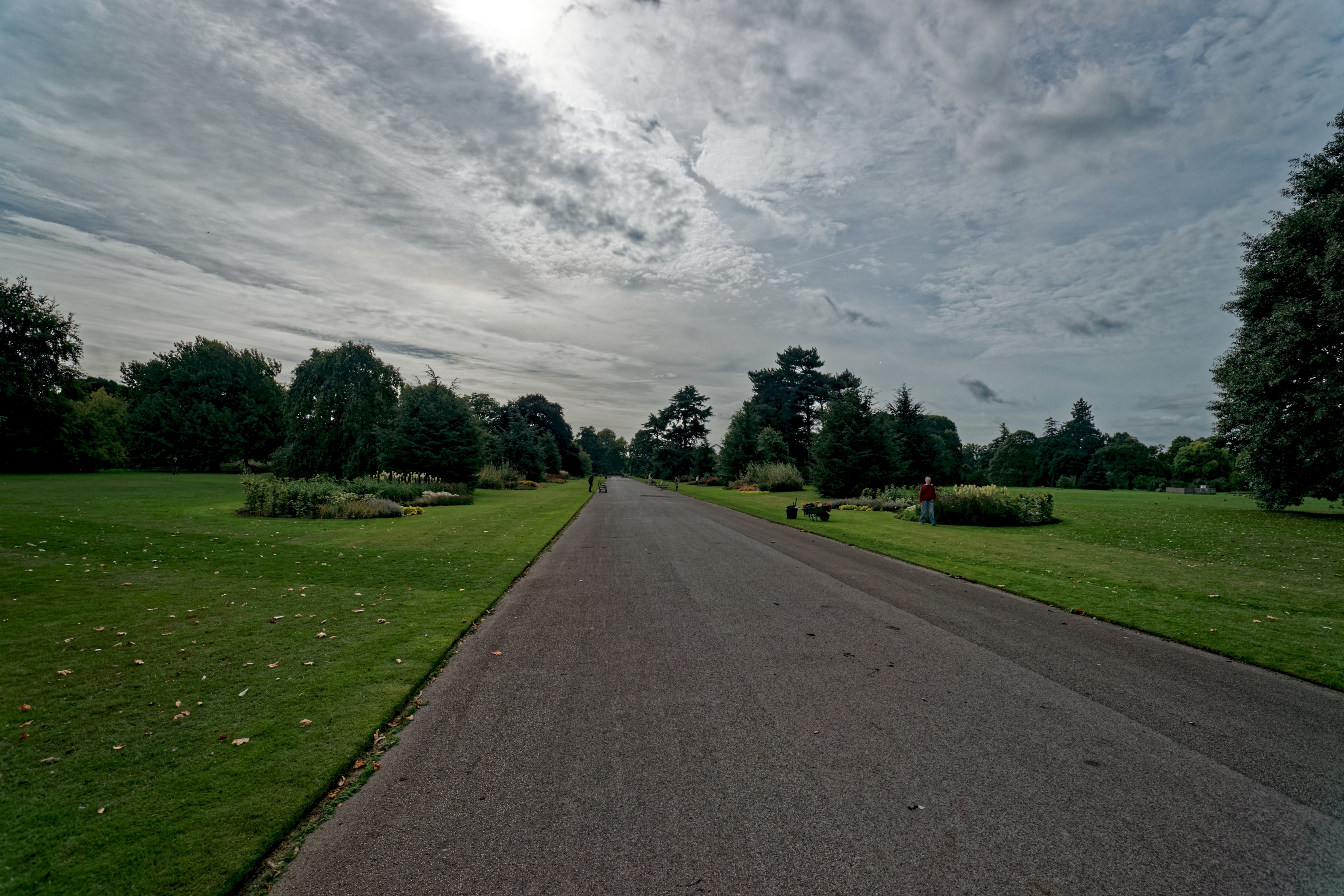Ampio viale alberato del Broad Walk all'interno dei Kew Gardens