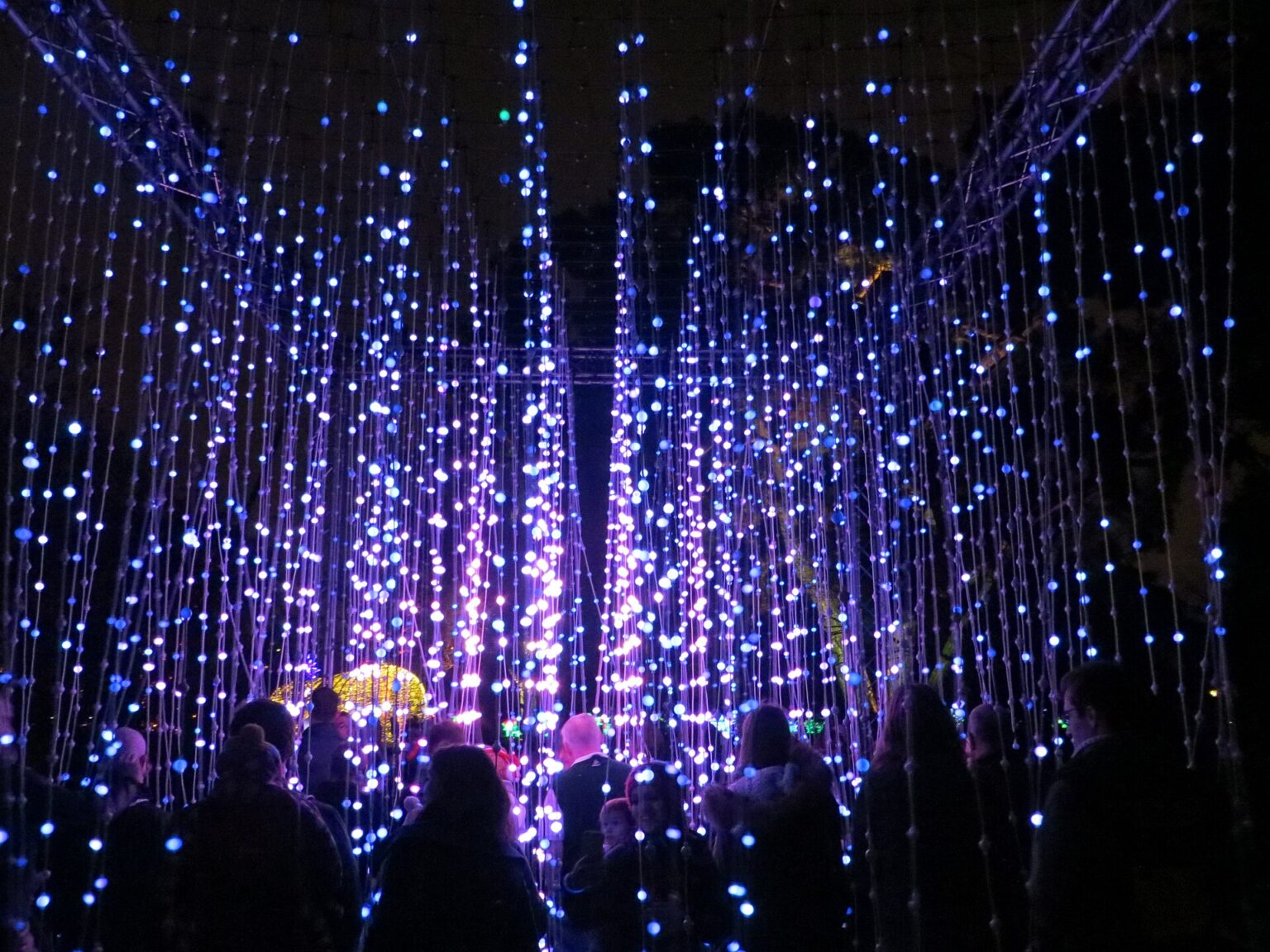Tunnel di luci natalizie durante il Christmas at Kew nei Kew Gardens