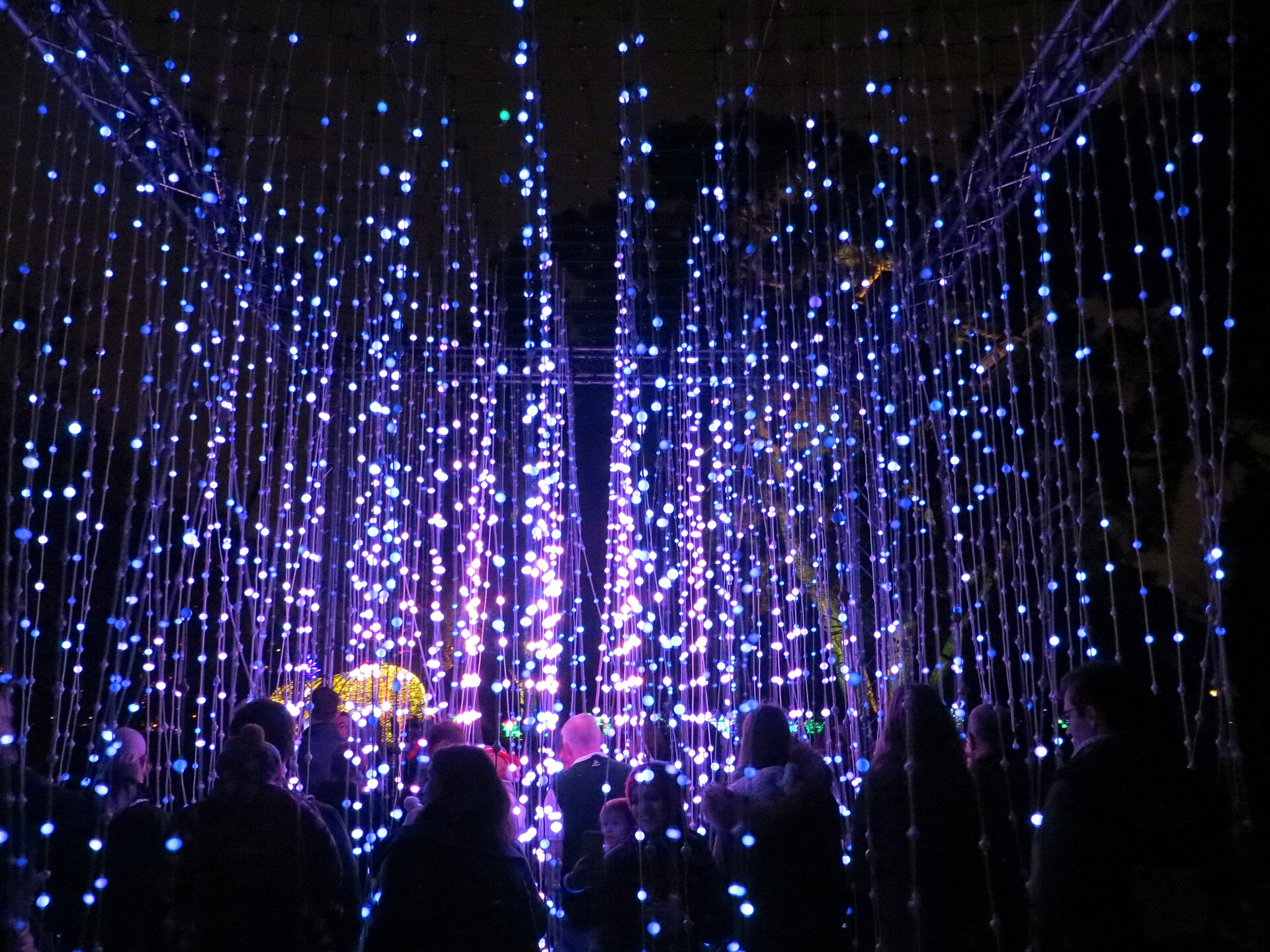 Tunnel di luci natalizie durante il Christmas at Kew nei Kew Gardens